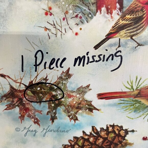 Cobble Hill 1000 Piece Puzzle Random Cut "Winter Birds" - 1 Piece Missing - Picture 2 of 3